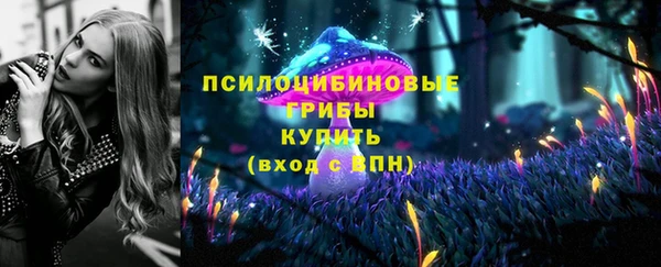 a pvp Богданович