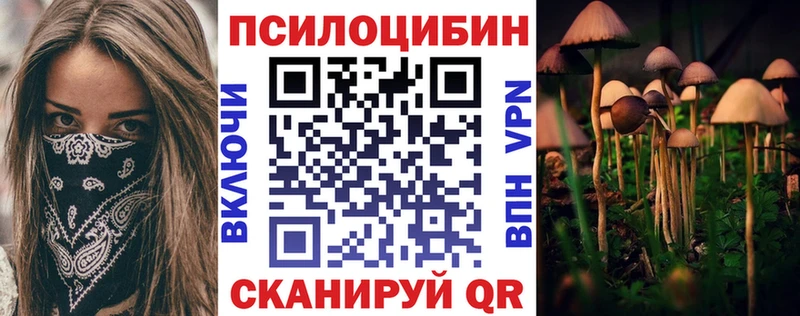 Псилоцибиновые грибы Psilocybine cubensis Верхняя Тура